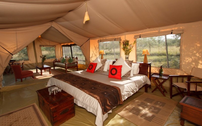 3 days masai mara lodge safari